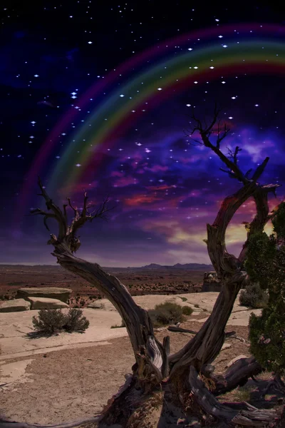 Crepúsculo do deserto — Fotografia de Stock