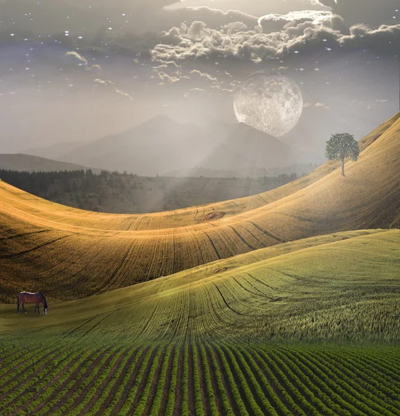 Vreedzaam landschap met bergen — Stockfoto