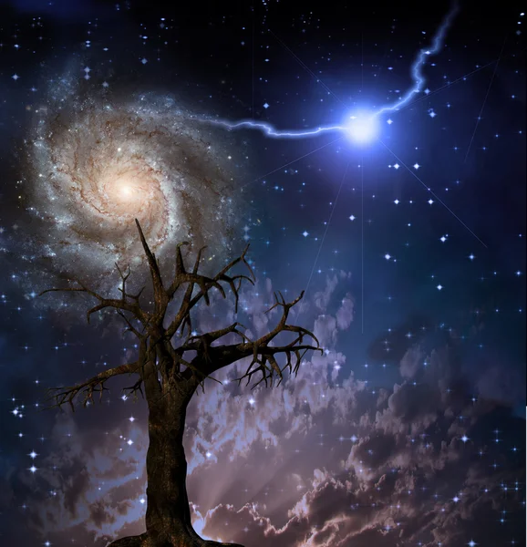 Drzewo i gwiazd na nocnym niebie — Zdjęcie stockowe