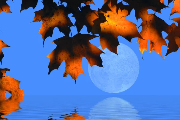 Herbstblätter und Mond — Stockfoto