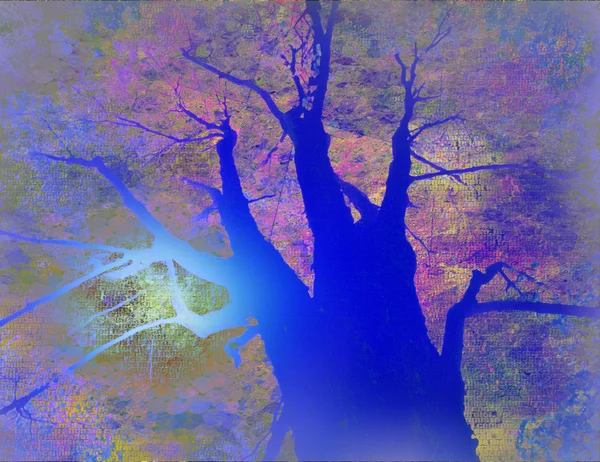 Paesaggio dell'albero — Foto Stock