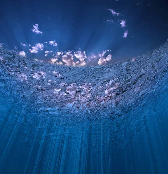 Подводный тропик — стоковое фото