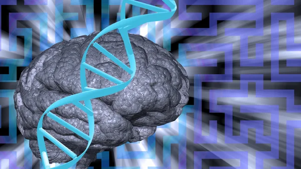 Dna abd brain puzzle — Stock Photo, Image