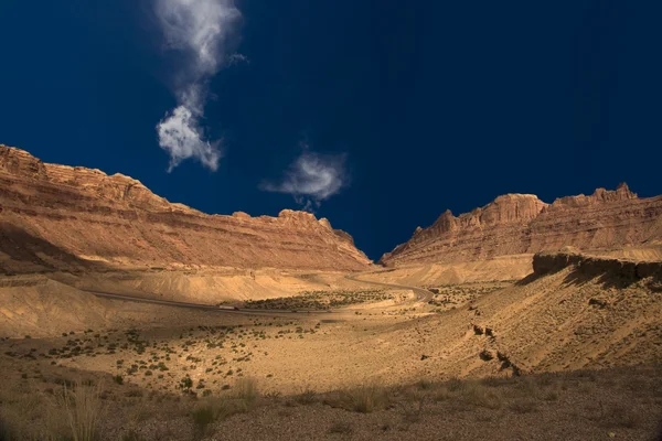 Desierto de arizona —  Fotos de Stock