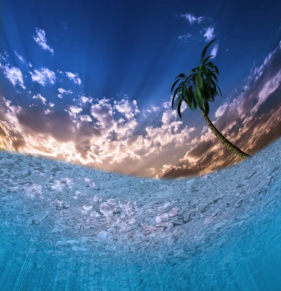 Escena submarina con palmeras —  Fotos de Stock