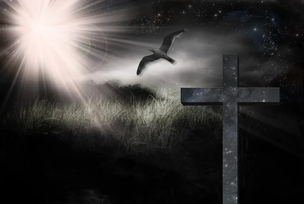 Cross and Bird in Landscape — Stock Photo, Image