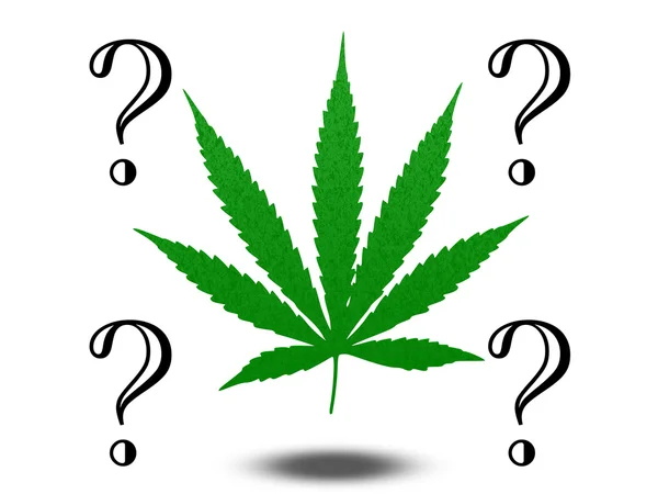 Marijuana Questions — Stock Photo, Image