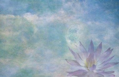 Lotus ve ay