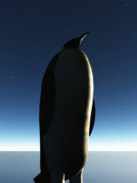 Penguin Twilight — Stock Photo, Image