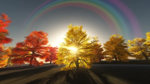 Arc-en-ciel sur arbres d'automne — Photo