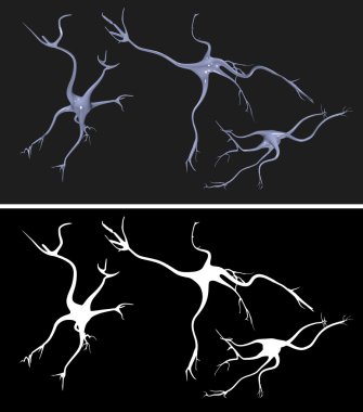 sinir hücrelerinin kolay çıkarılması için alfa maskesi