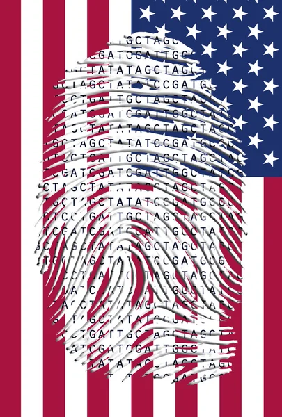 American Genetic — Stock Photo, Image