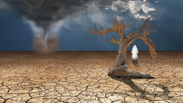 Errante en el barro seco del desierto — Foto de Stock