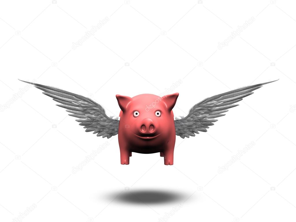 Flying Pig