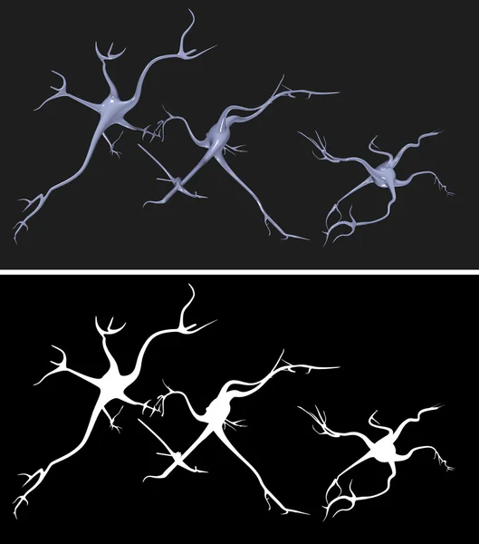 쉬운 추출에 대 한 알파 마스크와 신경 세포 — 스톡 사진
