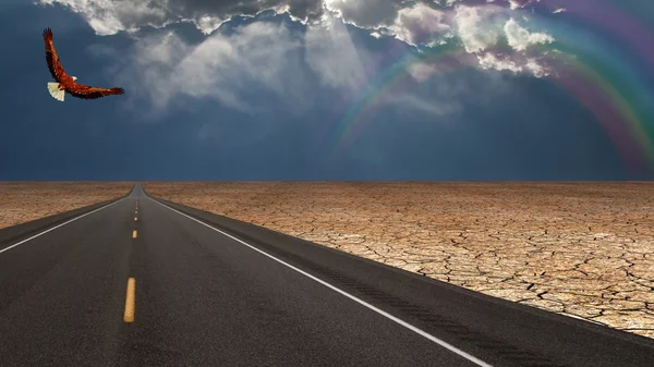 Road leads into desert — Stock Photo, Image