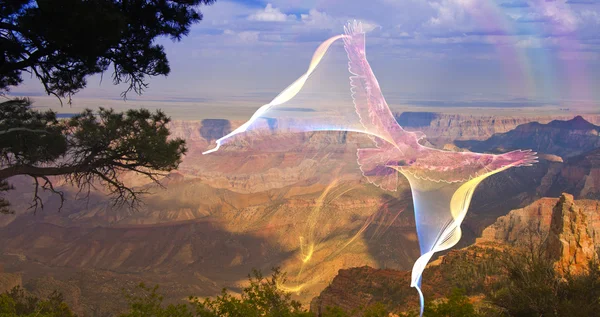 Ghostlike bird in flight above grand canyon rim — Stock Photo, Image
