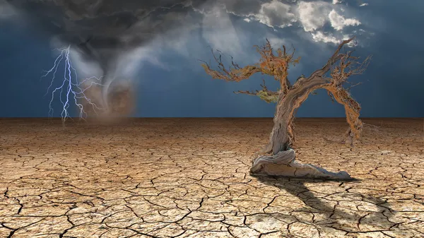 Storm rages in desert — Stock Photo, Image