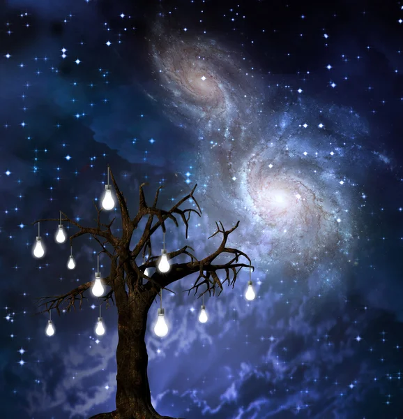 Kutsal ağacı — Stok fotoğraf