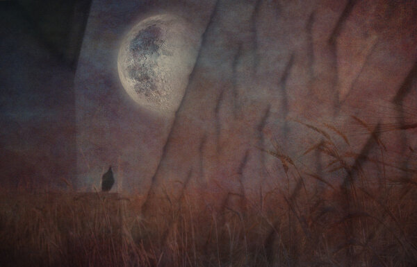 Grungy Sullen Composition