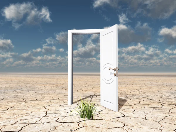 Single white door — Stock Photo, Image