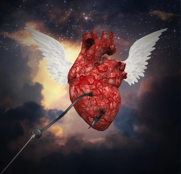 Heart flight — Stock Photo, Image