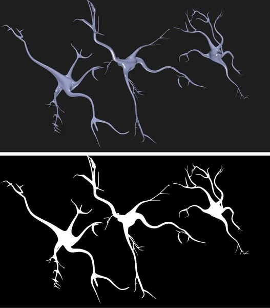 Las células nerviosas — Foto de Stock