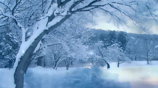 Alberi Con Neve Nel Parco Invernale Animazione — Video Stock