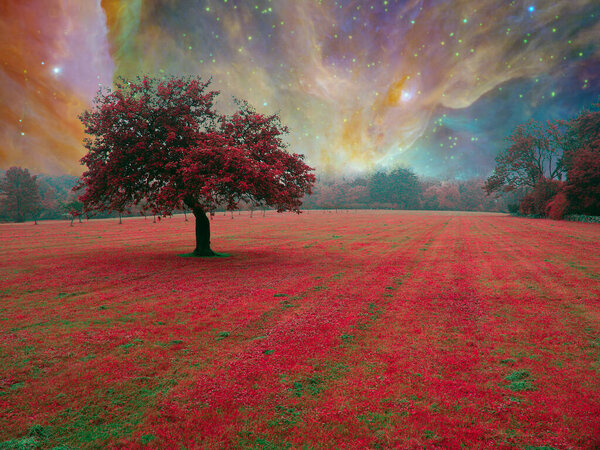 Red tree in surreal field. 3D rendering.
