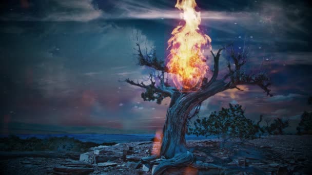 Καίγοντας Γέρικο Δέντρο Άγονη Βραχώδη Φαράγγι Στον Ορίζοντα — Αρχείο Βίντεο