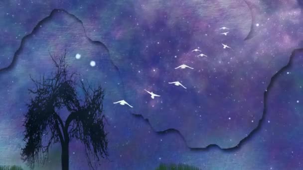 Σιλουέτα Του Δέντρου Ένα Ήρεμο Νερό Φεγγάρι Στον Έναστρο Ουρανό — Αρχείο Βίντεο