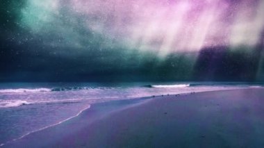 Kumlu okyanus kıyısındaki martılar. Canlandırılmış video