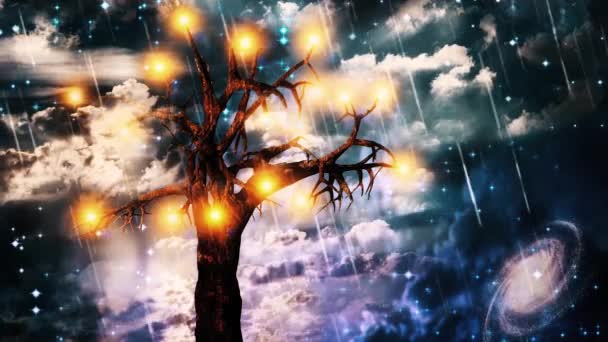Tree Light Stars Blue Sky Animated Video — стокове відео