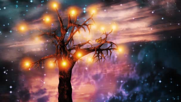 Δέντρο Του Φωτός Και Των Αστέρων Στον Γαλάζιο Ουρανό — Αρχείο Βίντεο
