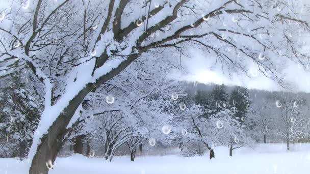 Drzewa Śniegiem Zimowym Parku Animacji — Wideo stockowe