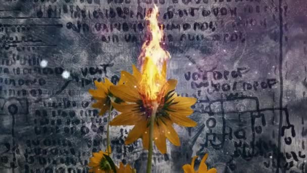 Abstraktní Složení Hořící Žluté Květy Pozadí Starověkých Symbolů — Stock video