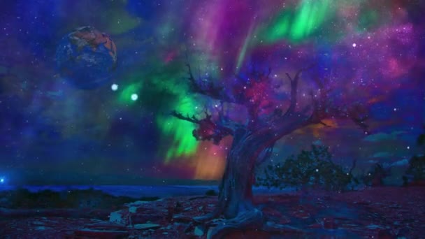 Viejo Árbol Árida Tierra Rocosa Cañón Horizonte Aurora Galaxia Cielo — Vídeos de Stock