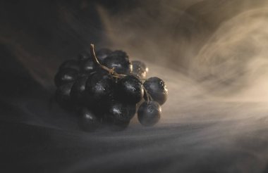 Koyu bir zemin üzerinde sulu kırmızı üzümlerden oluşan olgun bir dal. Boşluğu kopyala.