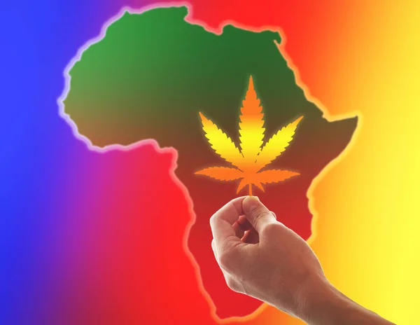 Hand Håller Ett Cannabisblad Mot Bakgrund Den Afrikanska Kontinenten Begreppet — Stockfoto
