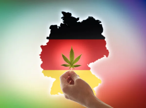 Die Hand Einer Frau Hält Ein Cannabisblatt Vor Dem Hintergrund Stockfoto