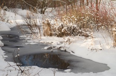 Ormanda eriyen akarsu. Ormanda erime. Doğada güneşli bir bahar günü.