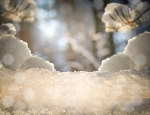 Abstrakter Verschwommener Schnee Hintergrund Mit Kopierraum Winter Attrappe Sonniger Winterwald — Stockfoto