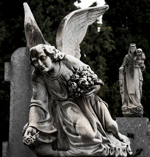 Angel — Stock Photo, Image