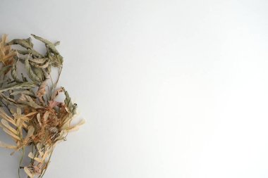 Beyaz arkaplanda kuru yapraklar 