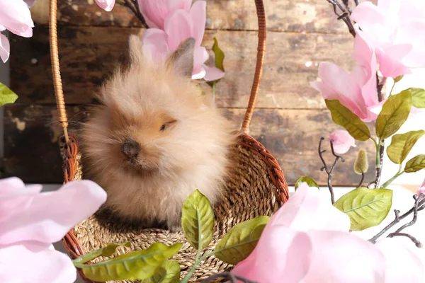 Rabbit Basket Pink Flowers Wooden Background — Stock Photo, Image