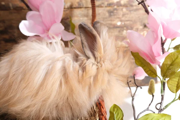 Conejo Cesta Flores Rosadas Sobre Fondo Madera —  Fotos de Stock