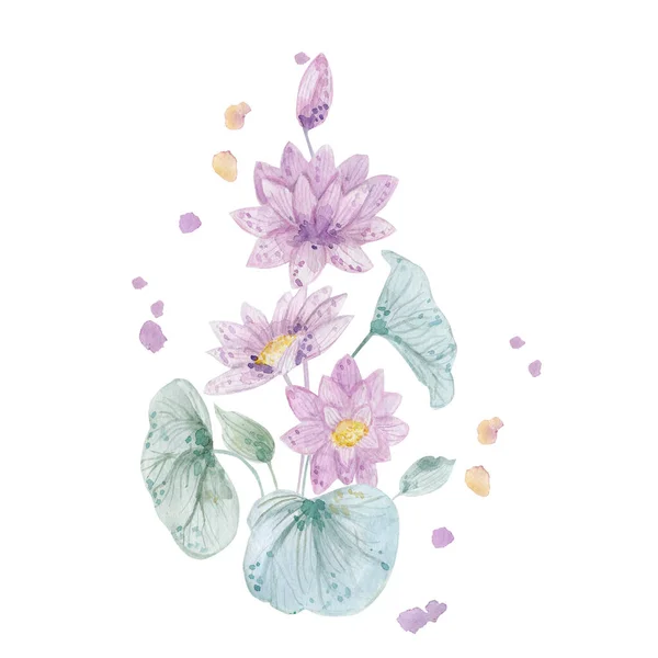 Aquarell Hintergrund Mit Violetten Lotusblüten — Stockfoto