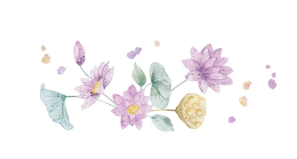 Aquarell Hintergrund Mit Violetten Lotusblüten — Stockfoto