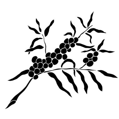 Beyaz böğürtlenlerin vektör çizimi