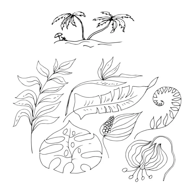 Vektorillustration Tropischer Blätter — Stockvektor